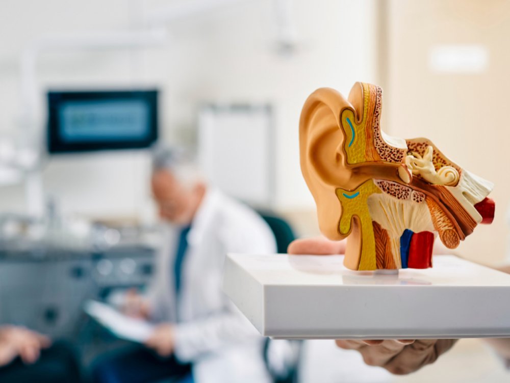Audiologopēdija
